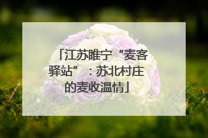 江苏睢宁“麦客驿站”：苏北村庄的麦收温情