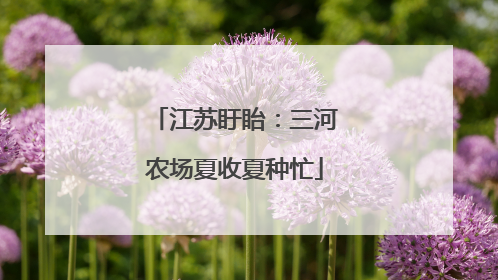 江苏盱眙：三河农场夏收夏种忙