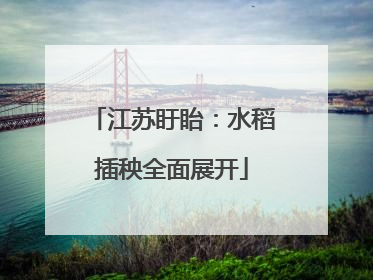 江苏盱眙：水稻插秧全面展开