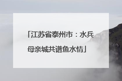江苏省泰州市：水兵母亲城共谱鱼水情