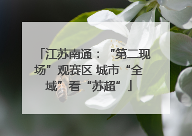 江苏南通：“第二现场”观赛区 城市“全域”看“苏超”