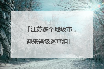 江苏多个地级市，迎来省级巡查组