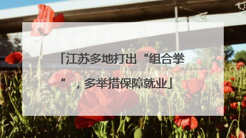 江苏多地打出“组合拳”，多举措保障就业