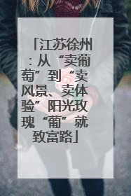 江苏徐州：从“卖葡萄”到“卖风景、卖体验”阳光玫瑰“葡”就致富路