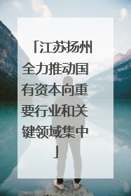江苏扬州全力推动国有资本向重要行业和关键领域集中