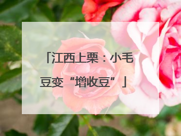 江西上栗：小毛豆变“增收豆”