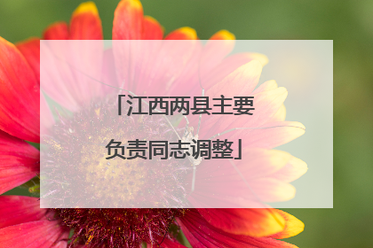 江西两县主要负责同志调整