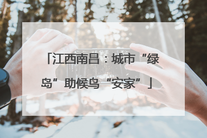 江西南昌：城市“绿岛”助候鸟“安家”