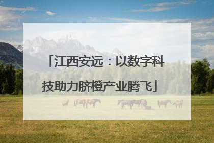 江西安远：以数字科技助力脐橙产业腾飞