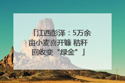 江西彭泽：5万余亩小麦喜开镰 秸秆回收变“绿金”