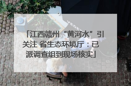 江西赣州“黄河水”引关注 省生态环境厅：已派调查组到现场核实
