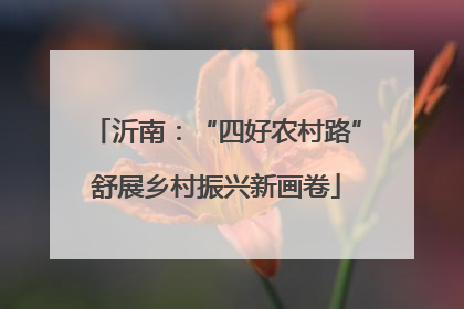 沂南：“四好农村路”舒展乡村振兴新画卷