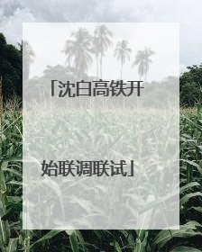 沈白高铁开始联调联试