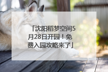 沈阳稻梦空间5月28日开园！免费入园攻略来了