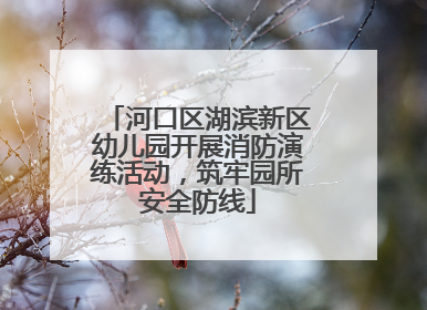 河口区湖滨新区幼儿园开展消防演练活动，筑牢园所安全防线