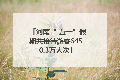河南“ 五一”假期共接待游客6450.3万人次