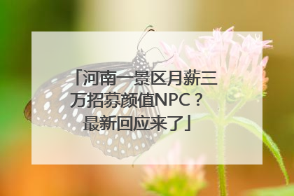 河南一景区月薪三万招募颜值NPC？最新回应来了