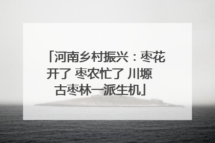河南乡村振兴：枣花开了 枣农忙了 川塬古枣林一派生机