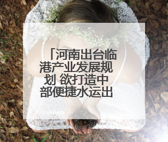 河南出台临港产业发展规划 欲打造中部便捷水运出海通道