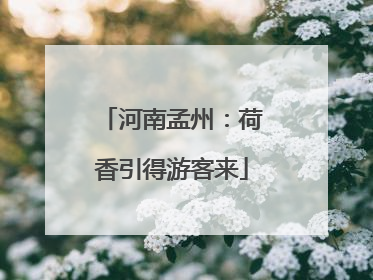 河南孟州：荷香引得游客来