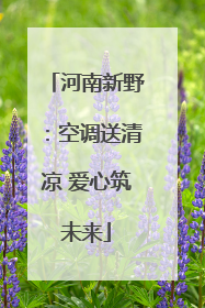 河南新野：空调送清凉 爱心筑未来
