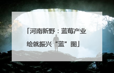 河南新野：蓝莓产业绘就振兴“蓝”图