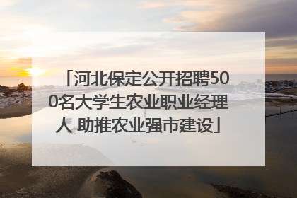 河北保定公开招聘500名大学生农业职业经理人 助推农业强市建设