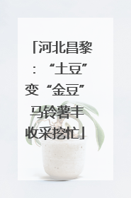 河北昌黎：“土豆”变“金豆” 马铃薯丰收采挖忙
