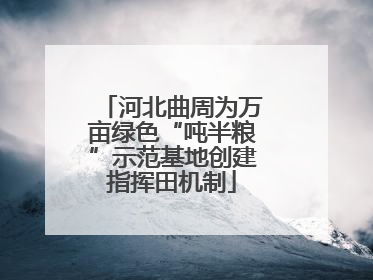 河北曲周为万亩绿色“吨半粮”示范基地创建指挥田机制