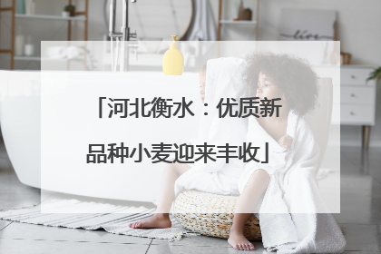 河北衡水：优质新品种小麦迎来丰收
