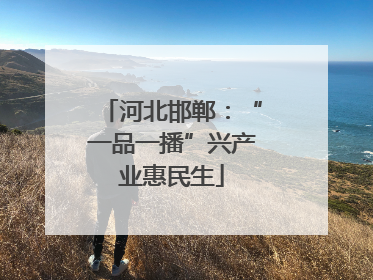 河北邯郸：“一品一播”兴产业惠民生