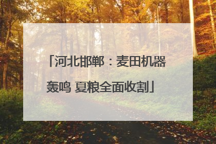 河北邯郸：麦田机器轰鸣 夏粮全面收割