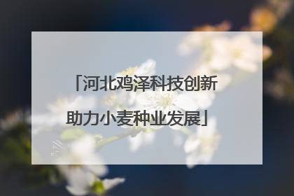 河北鸡泽科技创新助力小麦种业发展