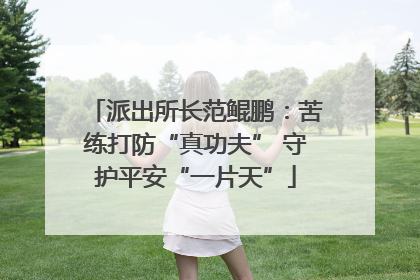 派出所长范鲲鹏：苦练打防“真功夫” 守护平安“一片天”