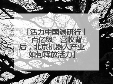 活力中国调研行丨 “百亿级”营收背后，北京机器人产业如何释放活力