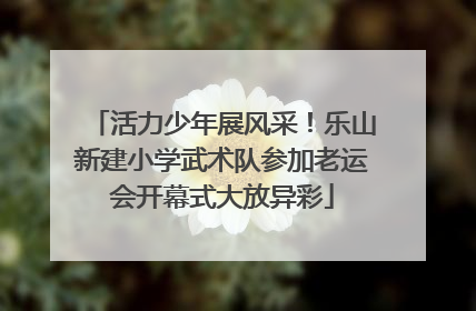 活力少年展风采！乐山新建小学武术队参加老运会开幕式大放异彩