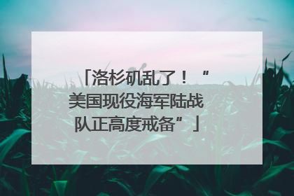 洛杉矶乱了！“美国现役海军陆战队正高度戒备”