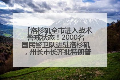 洛杉矶全市进入战术警戒状态！2000名国民警卫队进驻洛杉矶，州长市长齐批特朗普“制造混乱”