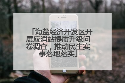 海盐经济开发区开展应消站提质升级问卷调查，推动民生实事落地落实
