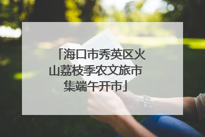 海口市秀英区火山荔枝季农文旅市集端午开市
