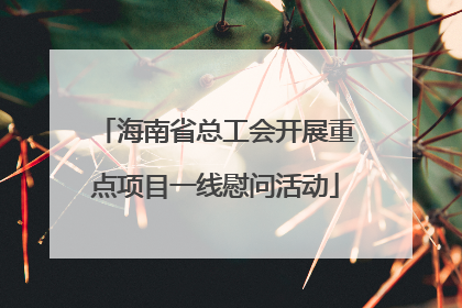 海南省总工会开展重点项目一线慰问活动