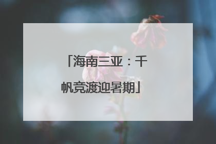 海南三亚：千帆竞渡迎暑期