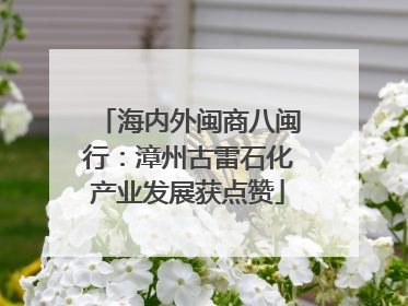 海内外闽商八闽行：漳州古雷石化产业发展获点赞