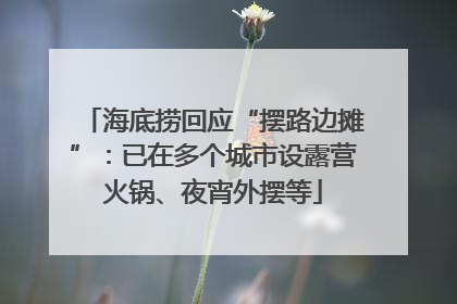 海底捞回应“摆路边摊”：已在多个城市设露营火锅、夜宵外摆等
