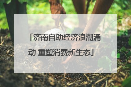 济南自助经济浪潮涌动 重塑消费新生态