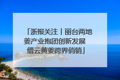 浙报关注丨丽台两地姜产业抱团创新发展 缙云黄姜跨界俏销