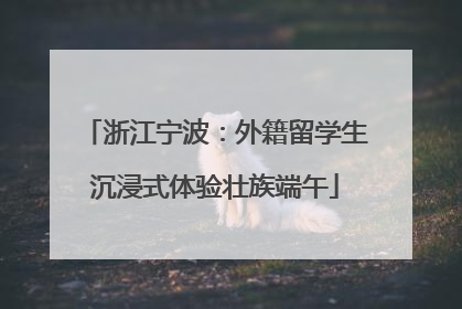 浙江宁波：外籍留学生沉浸式体验壮族端午