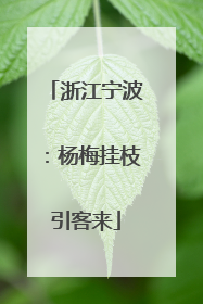 浙江宁波：杨梅挂枝引客来