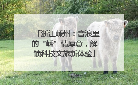 浙江嵊州：音浪里的“嵊”情厚意，解锁科技文旅新体验