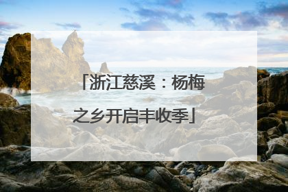 浙江慈溪：杨梅之乡开启丰收季
